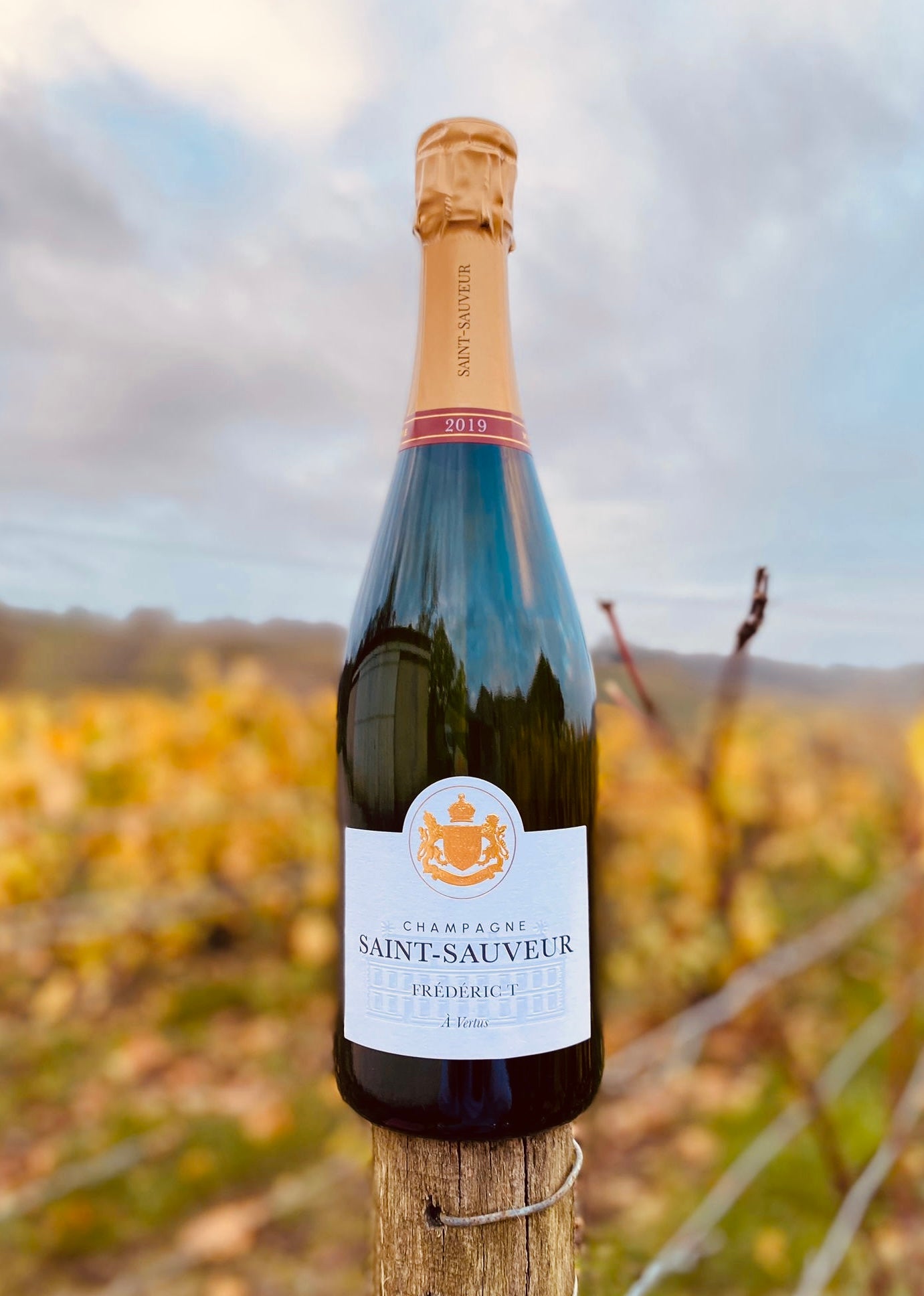 Frédéric T Initial Millésime 2021