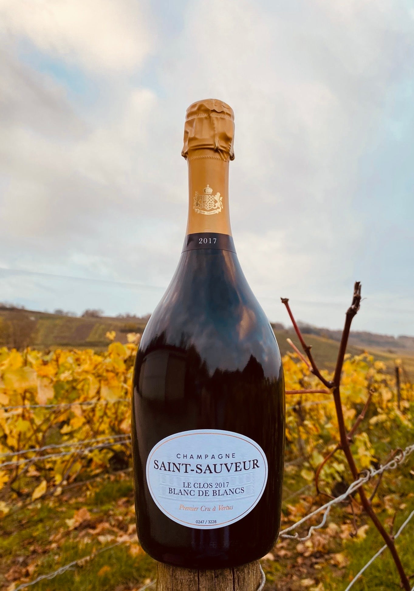 Clos de Saint-Sauveur Blanc de Blancs Vintage 2017