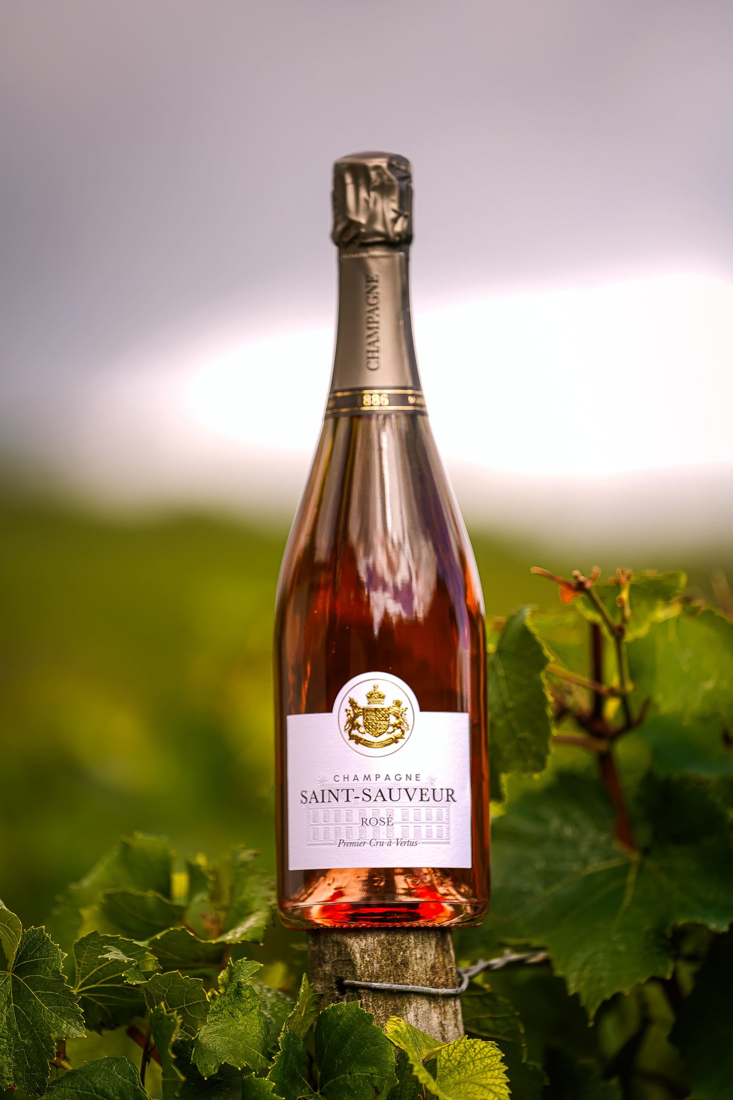 Rosé Premier Cru